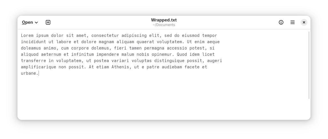 text editor screenshot