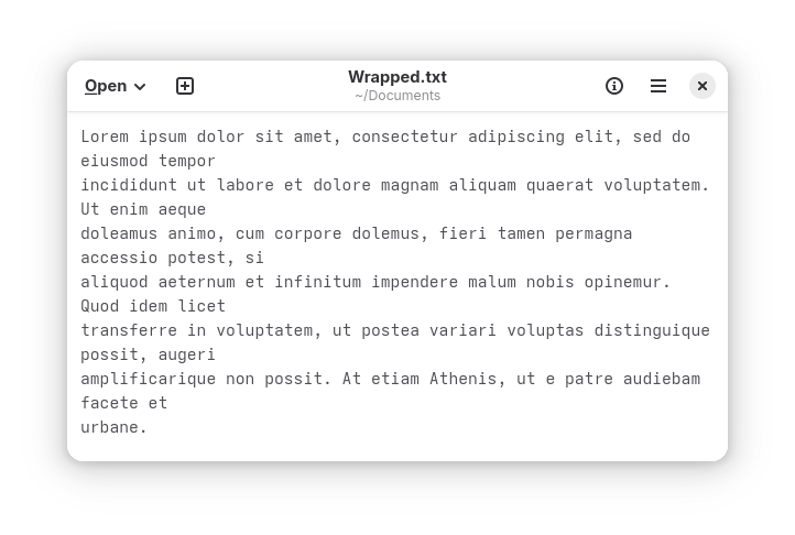 text editor screenshot