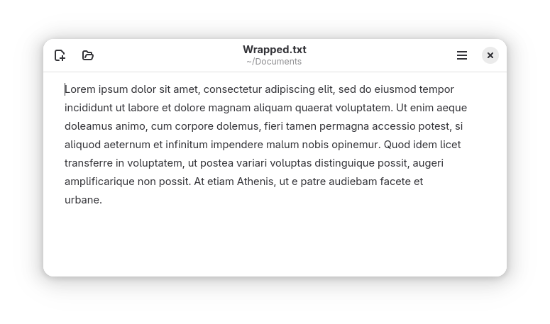 text editor screenshot