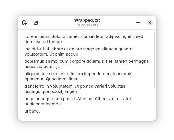 text editor screenshot
